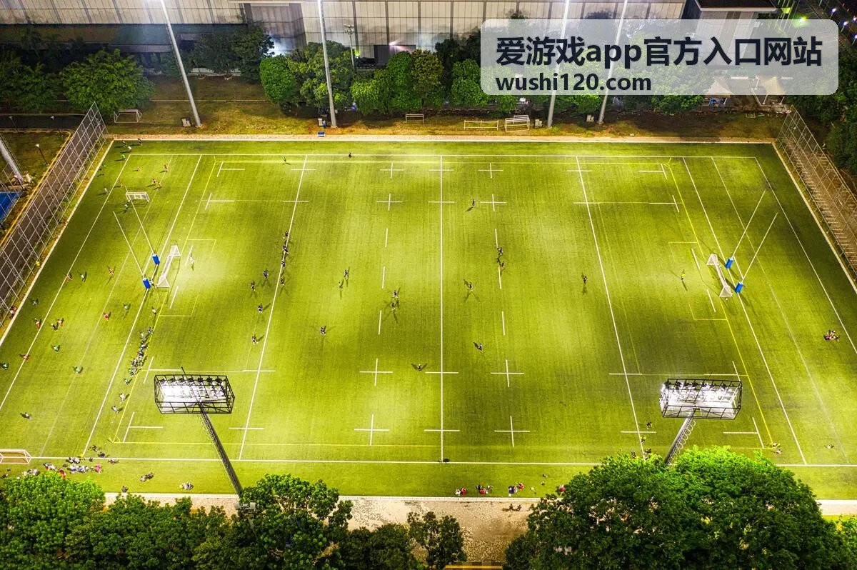 爱游戏app官方入口网站移动端入口界面示意